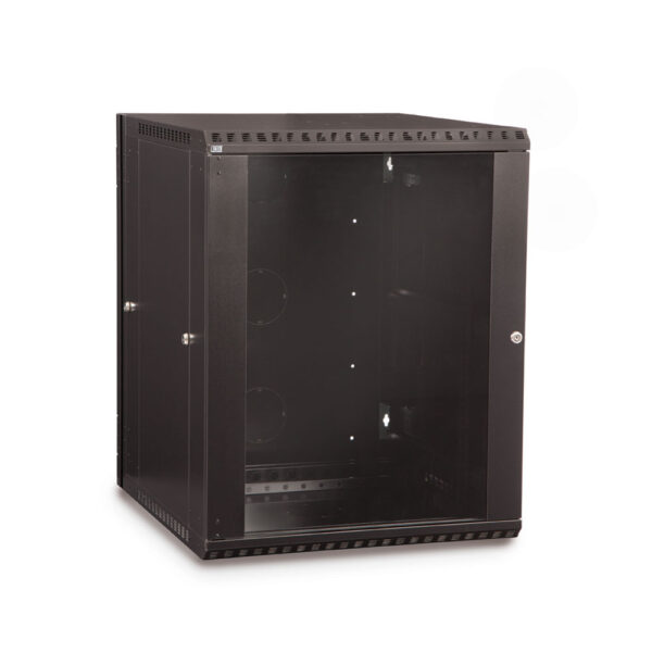 15U LINIER® Swing-Out Wall Mount Cabinet - Glass Door