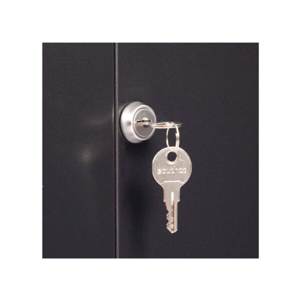 6U LINIER® Fixed Wall Mount Cabinet - Glass Door lock