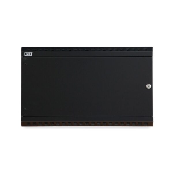 6U LINIER® Swing-Out Wall Mount Cabinet - Solid Door front